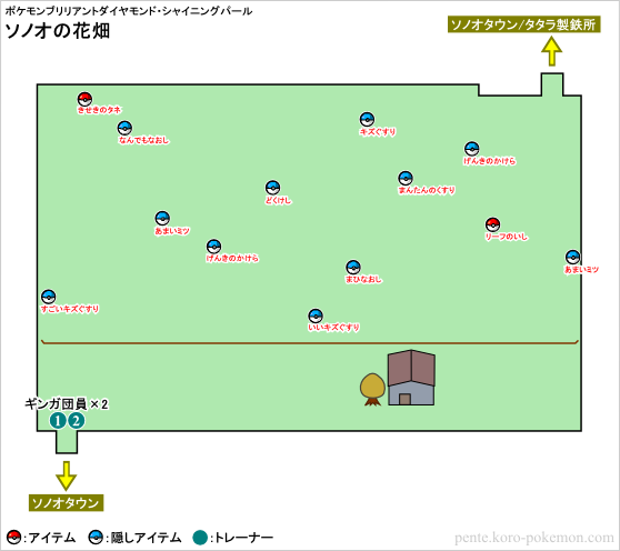 ポケモンオブリリアントダイヤモンド・シャイニングパール (ポケモンBDSP) ソノオの花畑 マップ