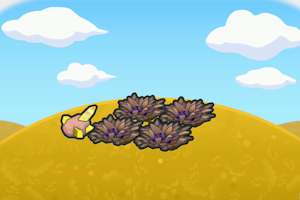 ぽこ あ ポケモン　さらさらな草むら