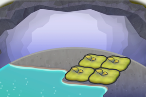 ぽこ あ ポケモン　コケむす温泉