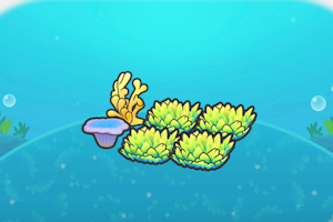 ぽこ あ ポケモン　海底サンゴの草むら