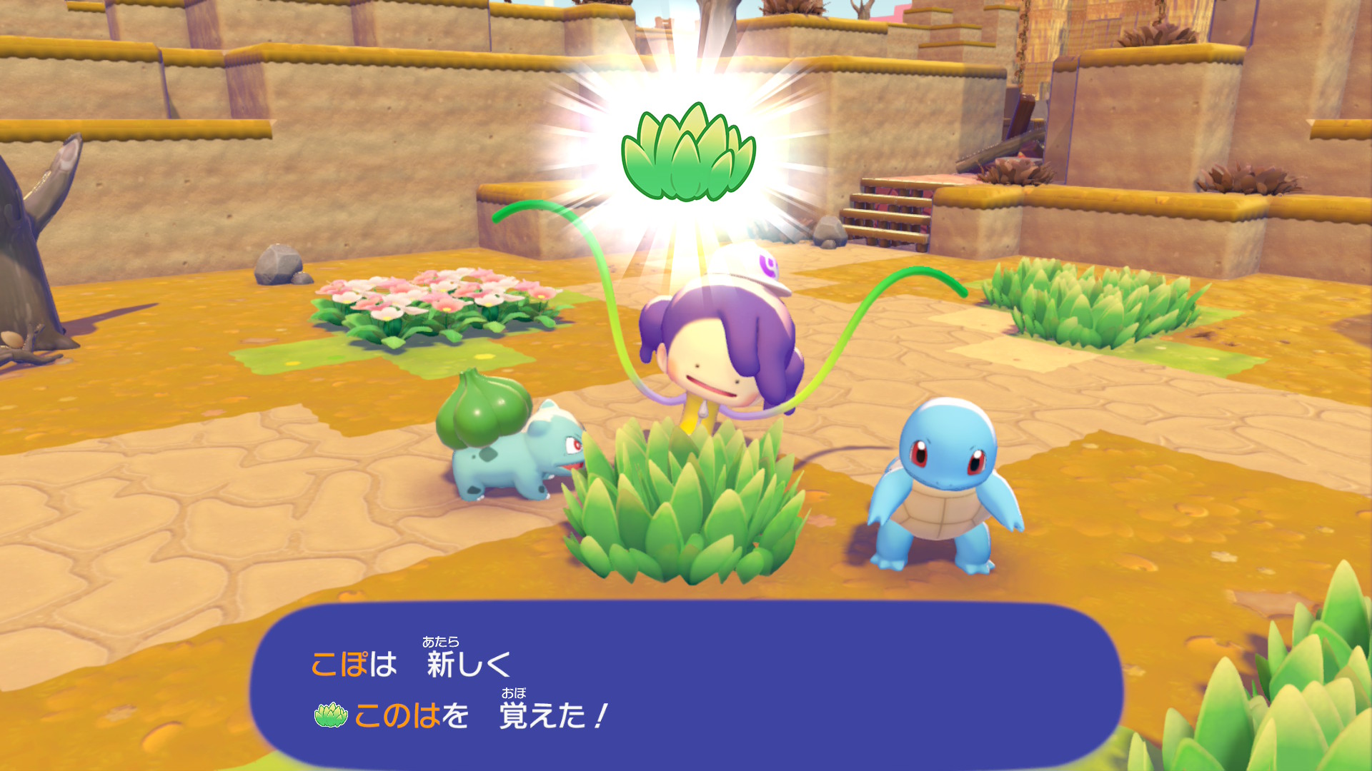 ぽこ あ ポケモン　メタモンの技　このは
