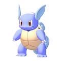 ぽこ あ ポケモン カメール