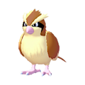 ぽこ あ ポケモン ポッポ