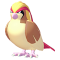 ぽこ あ ポケモン　ピジョット
