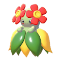 ぽこ あ ポケモン　キレイハナ