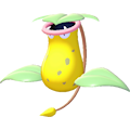 ぽこ あ ポケモン　ウツボット