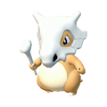ぽこ あ ポケモン　カラカラ