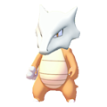 ぽこ あ ポケモン ガラガラ