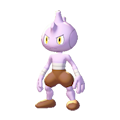 ぽこ あ ポケモン バルキー