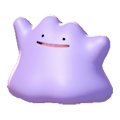 ぽこ あ ポケモン メタモン