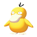 ぽこ あ ポケモン　コダック