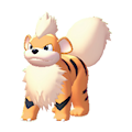 ぽこ あ ポケモン　ガーディ