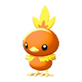 ぽこ あ ポケモン アチャモ