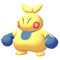 ぽこ あ ポケモン マクノシタ