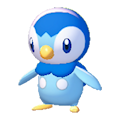 ぽこ あ ポケモン　ポッチャマ
