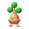 ぽこ あ ポケモン ウソハチ