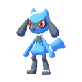 ぽこ あ ポケモン リオル