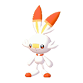 ぽこ あ ポケモン ヒバニー
