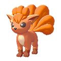 ぽこ あ ポケモン ロコン