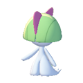 ぽこ あ ポケモン　ラルトス