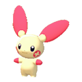 ぽこ あ ポケモン　プラスル