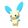 ぽこ あ ポケモン　マイナン