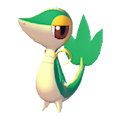 ぽこ あ ポケモン　ツタージャ