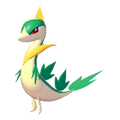 ぽこ あ ポケモン　ジャノビー