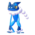 ぽこ あ ポケモン　ゲコガシラ