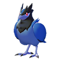 ぽこ あ ポケモン　アオガラス