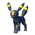 ぽこ あ ポケモン ブラッキー