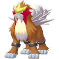 ぽこ あ ポケモン　エンテイ