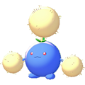 ぽこ あ ポケモン ワタッコ
