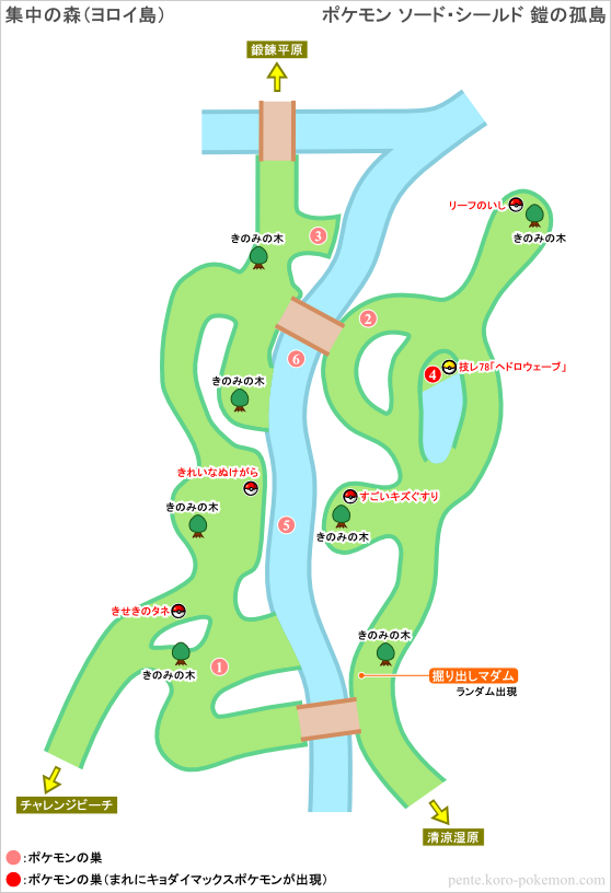 ポケモンソード・シールド 集中の森 (ヨロイ島) マップ